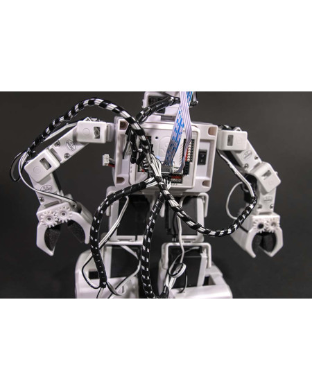 Robô Humanoide