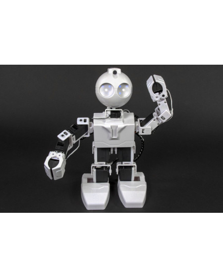 Robô Humanoide