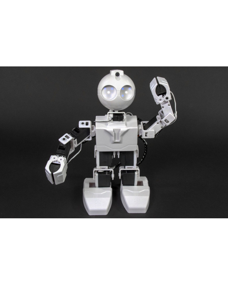Robô Humanoide